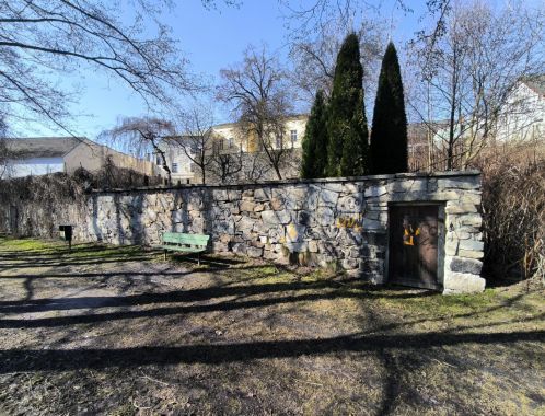 C:\fakepath\IMG 20250309 112047