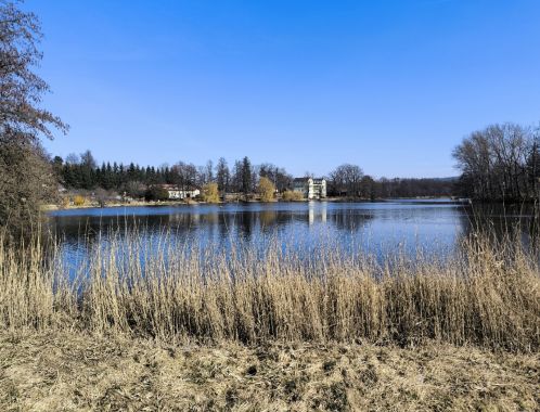 C:\fakepath\IMG 20250309 111604