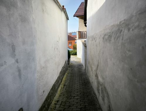 C:\fakepath\IMG 20250308 152109