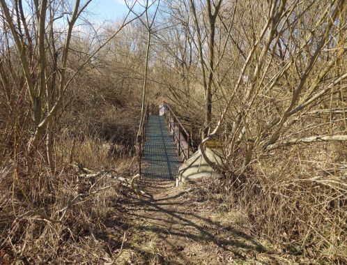 C:\fakepath\20250316 132822