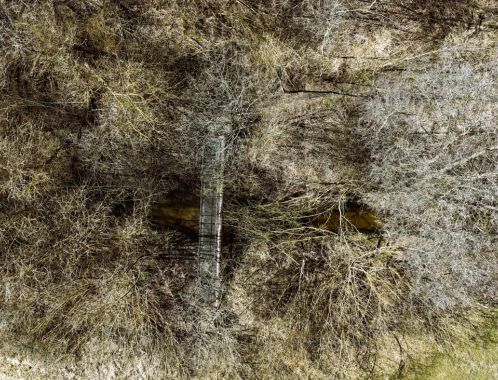 C:\fakepath\DJI 20250316133021 0559 D