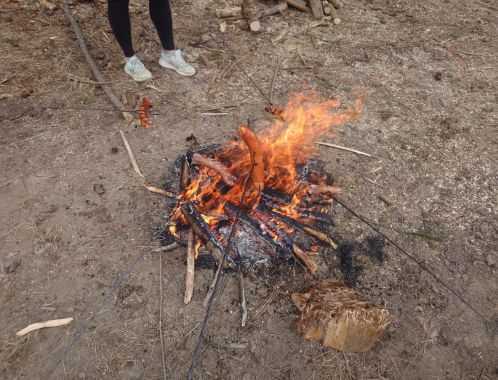 C:\fakepath\20250413 130155