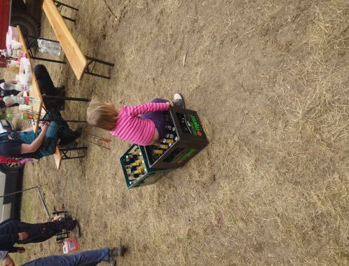 C:\fakepath\20250413 133537