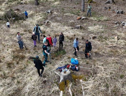 C:\fakepath\dji fly 20250413 110314 0013 1744550048262 photo