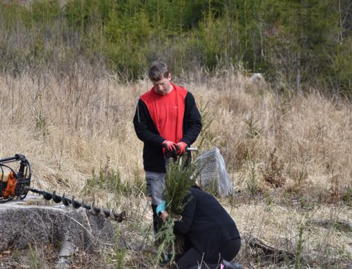 C:\fakepath\DSC 0108