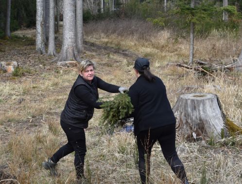 C:\fakepath\DSC 0112