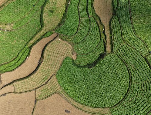 C:\fakepath\DJI 20260216071612 0396 D